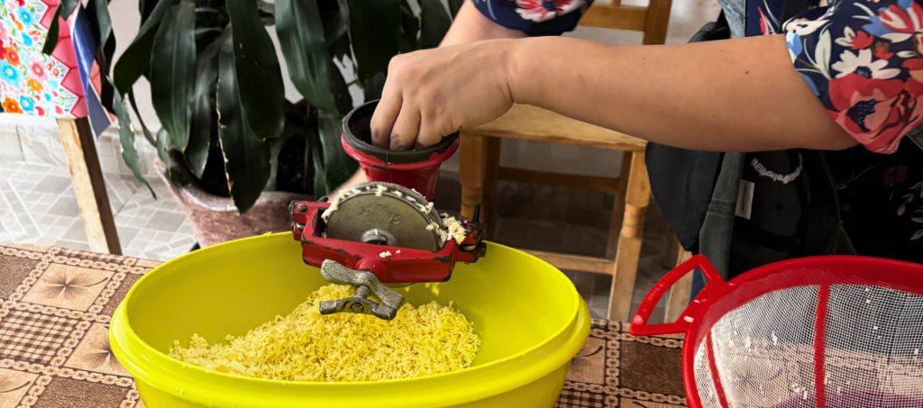 Taller de elaboración de queso artesanal con Liliana en una granja local cerca de Raíces México.