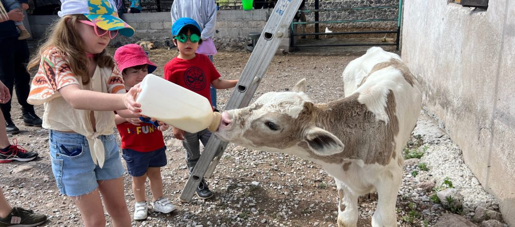 Niños exploradores con lámparas de minero buscando monedas de chocolate en un entorno natural.