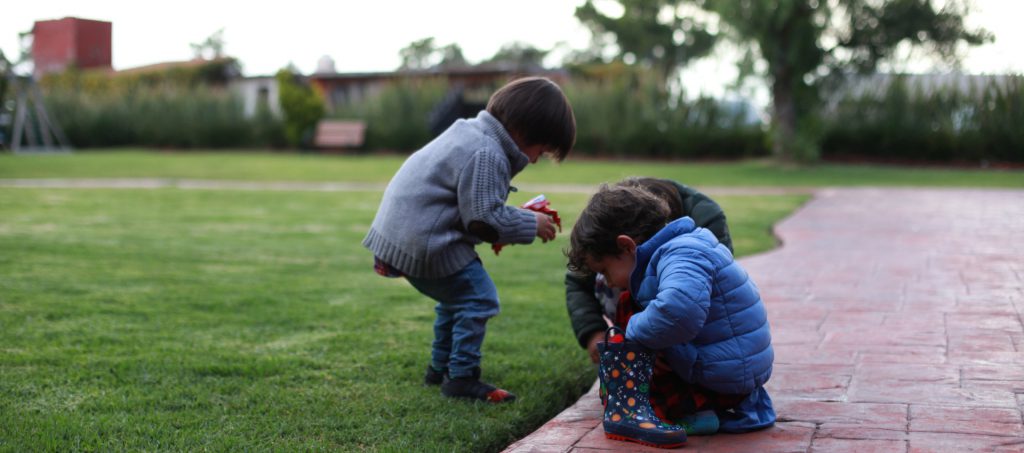 Niño utilizando una lupa de un kit de insectos para observar la biodiversidad en la hierba.